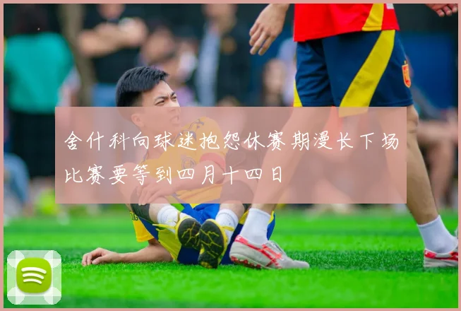 舍什科向球迷抱怨休赛期漫长下场比赛要等到四月十四日