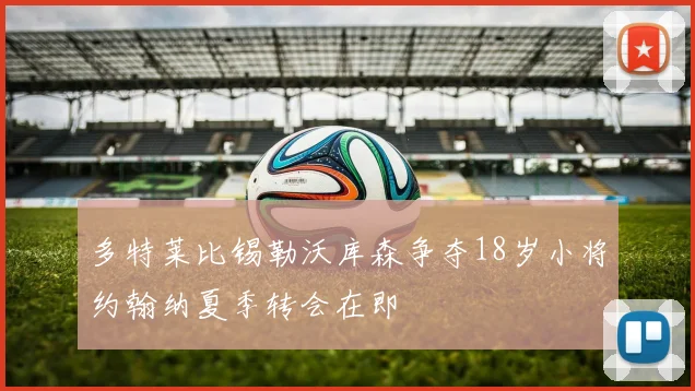 多特莱比锡勒沃库森争夺18岁小将约翰纳夏季转会在即