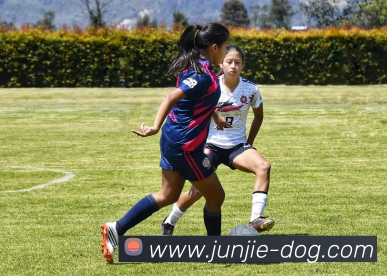 App Interface Preview