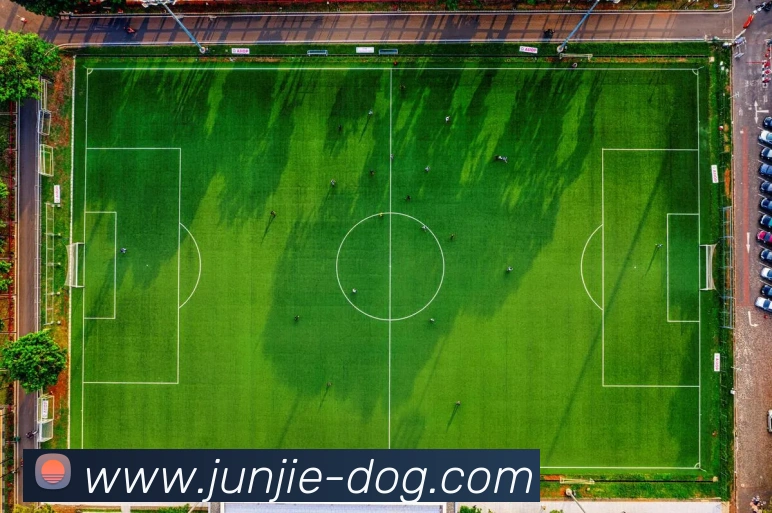 九游在线网页APP 封面图